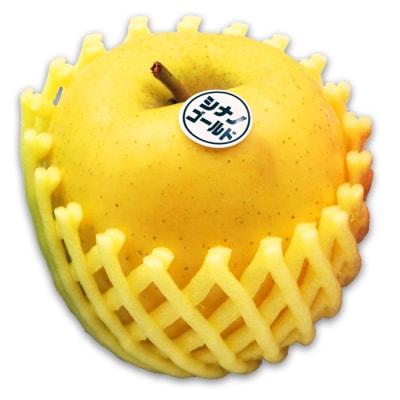 【2026年発送】山形のりんご(シナノゴールド)約5kg_H120(R8)