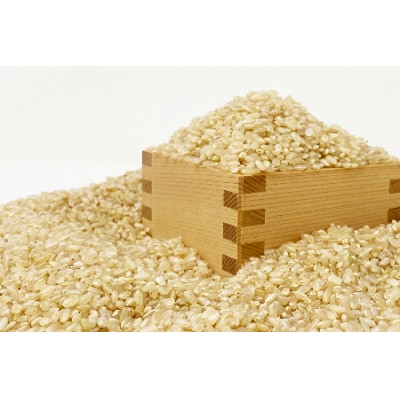 【定期便6ヶ月】【令和7年産新米】【玄米】鈴木・ファーム「ササニシキ」10kg×6ヶ月_A127