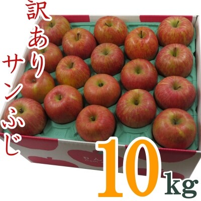 【R7年11～12月発送】訳ありリンゴ(サンふじ)10kg(1箱2段詰)_H128(R7)