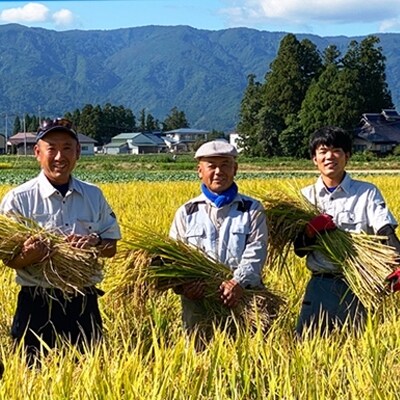 【令和6年産新米】【もち米】鈴木・ファーム「こがねもち」4kg(2kg×2袋)_A108