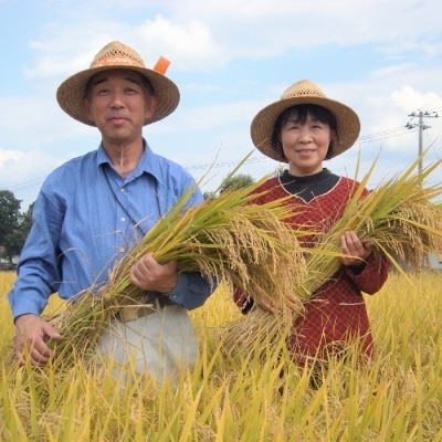 【令和7年産新米】【オーガニック米】遠藤さんの「さわのはな」8kg(2kg×4袋)_A082