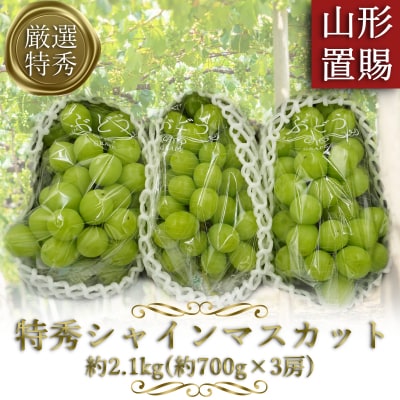 【期間限定・2026年発送】「特秀」厳選シャインマスカット約2.1kg(約700g×3房)_H066