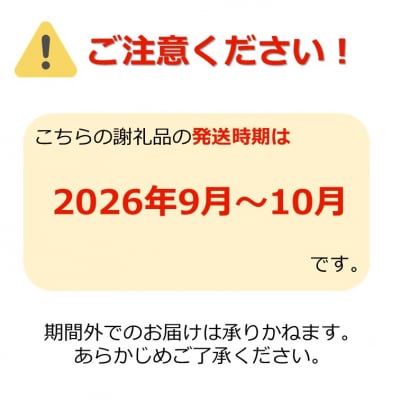 【期間限定・2026年発送】「特秀」厳選シャインマスカット約2.1kg(約700g×3房)_H066