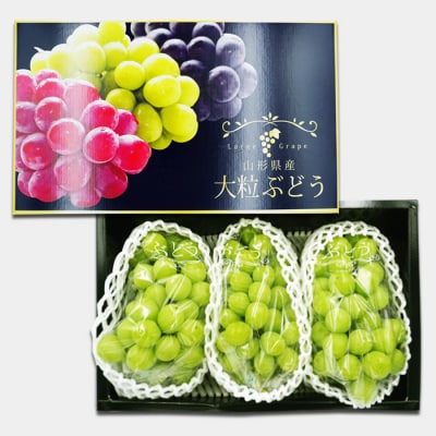 【2026年発送】「特秀」厳選シャインマスカット約2.1kg(約700g×3房)_H066(R8)