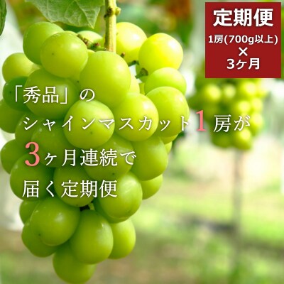 【R5年9～11月分先行受付】【定期便3ヶ月】秀品シャインマスカット700g以上×3ヶ月_H106 | ふるさと納税のお礼品