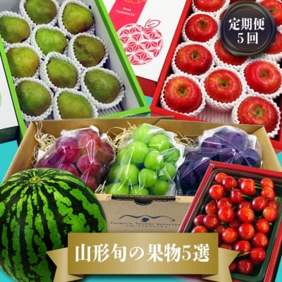 【R5年6～12月分先行受付】果物定期便5回(さくらんぼ、スイカ、ぶどう、りんごラフランス)H134 | ふるさと納税のお礼品