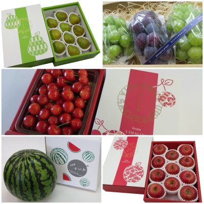 【2026年発送 先行受付】果物定期便5回(さくらんぼ、すいか、ぶどう、りんご、ラフランス)H134