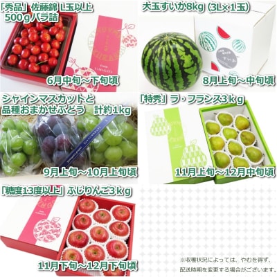 【2026年発送 先行受付】果物定期便5回(さくらんぼ、すいか、ぶどう、りんご、ラフランス)H134