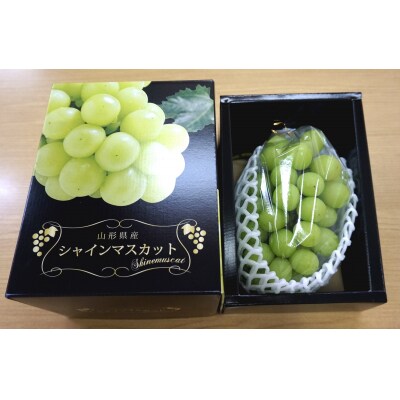 【2026年発送】「秀品」山形のぶどう(シャインマスカット)650g以上×1房_H064(R8)