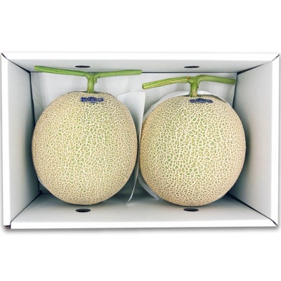 【2026年発送】置賜産マスクメロン(アールスメロン)約1.75kg～2.0kg×2玉_H136