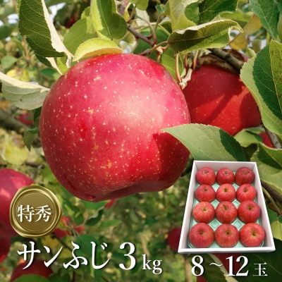 【2026年発送】「特秀」サンふじりんご3kg_H137(R8)
