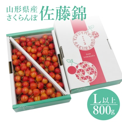 【R8年発送】さくらんぼ佐藤錦800g(L以上・バラ詰)_H110(R8)