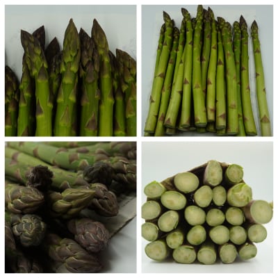 【2026年発送】春どり特大アスパラ(1本50g以上・1kg)_H049(R8)