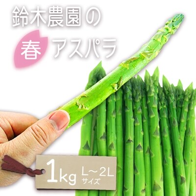 【R5年5～6月発送分先行受付】鈴木農園の春アスパラ(L～2Lサイズ・1kg)_H116 | ふるさと納税のお礼品