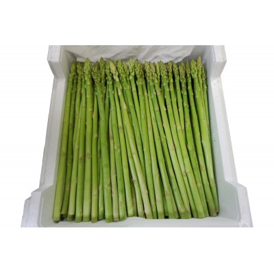 【2026年発送】夏どりアスパラ(M～Lサイズ・約1.5kg)_H052(R8)