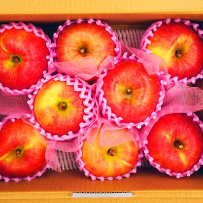 【2026年発送】山形のりんご(高徳)約2kg_H078(R8)