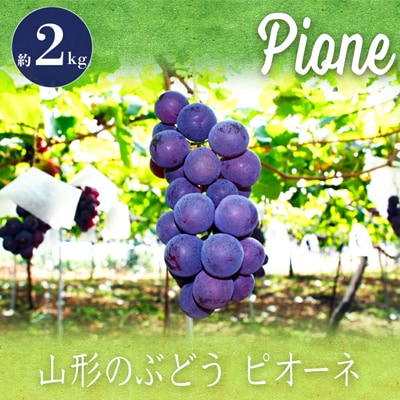 【2026年発送】「秀品」山形のぶどう(ピオーネ)約2kg_H059(R8)