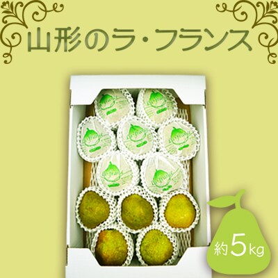 【2026年発送】山形のラフランス 約5kg_H069(R8)