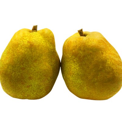 【2026年発送】山形のラフランス 約5kg_H069(R8)