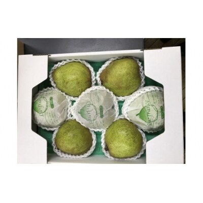 【2026年発送】山形のラフランス 約3kg_H070(R8)