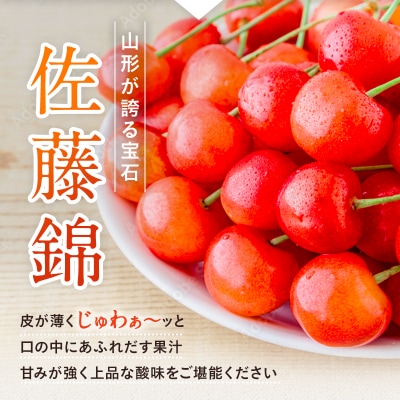 【2025年6月発送】さくらんぼ佐藤錦720g(ML混合・180g×4パック詰)_H223(R7)