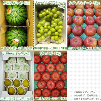 【2026年発送】果物定期便5回(すいか/シャインマスカット/りんご2種/洋梨)_H147(R8)
