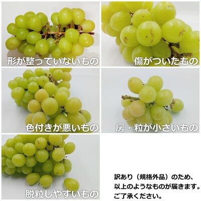 【R7年9～10月発送分先行受付】ご家庭用訳ありシャインマスカット約2kg(3～10房)_H196