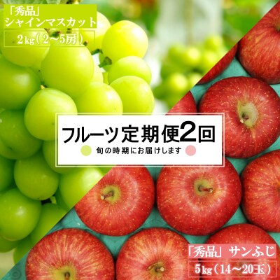 【2026年発送】【定期便2回】山形旬の果物2選(シャインマスカット/りんご)_H183(R8)