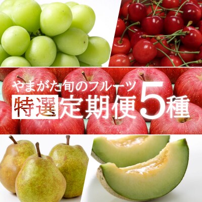 【2026年発送】【定期便5回】山形の果物特選5種(さくらんぼ他)_H199(R8)