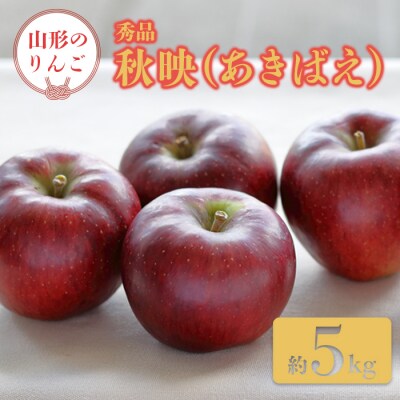 【2026年発送】「秀品」山形のりんご(秋映)約5kg_H162(R8)