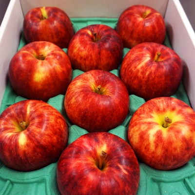 【2026年発送】「秀品」山形のりんご(つがる)約3kg_H163(R8)