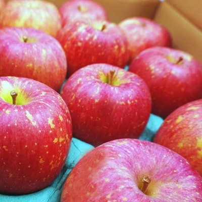 【2026年発送】「秀品」山形のりんご(早生ふじ)約3kg_H165(R8)