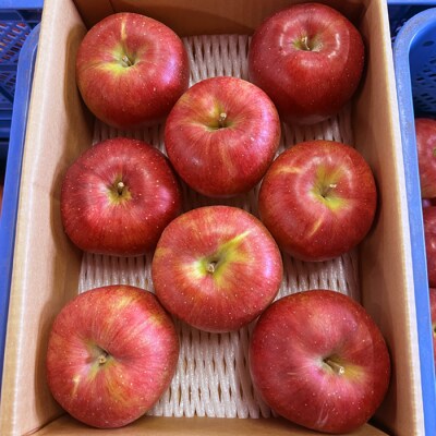 【2026年発送】「秀品」山形のりんご(シナノスイート)約3kg_H166(R8)