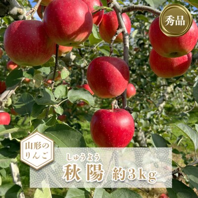 【2026年発送】「秀品」山形のりんご(秋陽)約3kg_H167(R8)