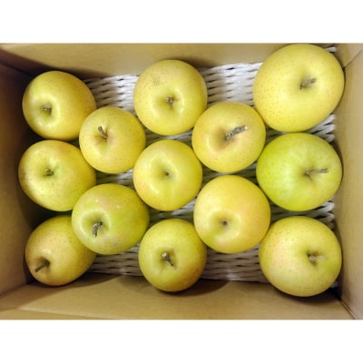 【2026年発送】「秀品」山形のりんご(王林)約3kg_H168(R8)