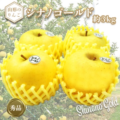 【2026年発送】「秀品」山形のりんご(シナノゴールド)約3kg_H169(R8)