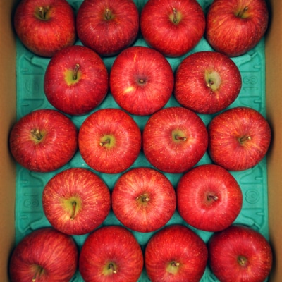 【2026年発送】「秀品」山形のりんご(サンふじ)約10kg_H170(R8)