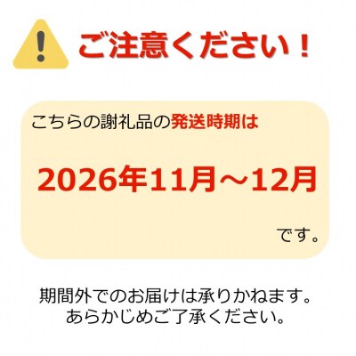 【2026年発送】「優品」山形のりんご(サンふじ)約10kg_H171(R8)