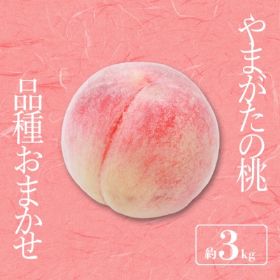 【2026年発送】「秀品」山形県産 桃(品種おまかせ)約3kg_H174(R8)