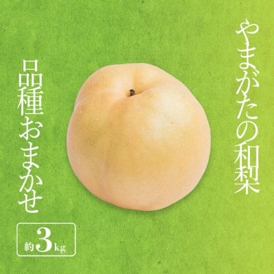 【2026年発送】「秀品」山形県産 和梨(品種おまかせ)約3kg_H175(R8)