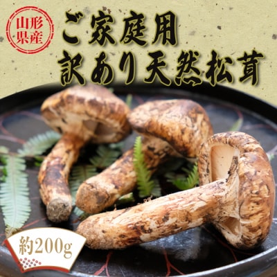 【2026年発送】山形県産ご家庭用訳あり天然松茸(まつたけ)約200g_H205(R8)