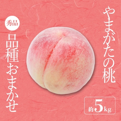 【2026年発送】「秀品」山形県産 桃(品種おまかせ)約5kg_H206(R8)