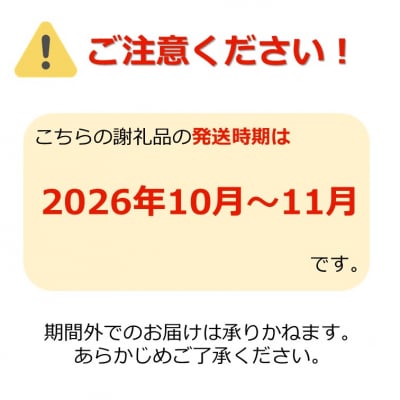 【2026年発送】「秀品」山形のりんご(秋陽)約2kg_H214(R8)