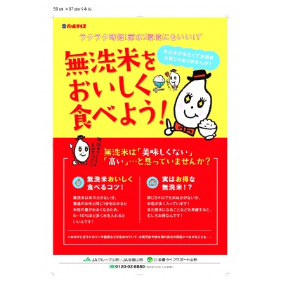 【令和6年産米】JAおきたま「無洗米はえぬき」10kg_A173(R6)