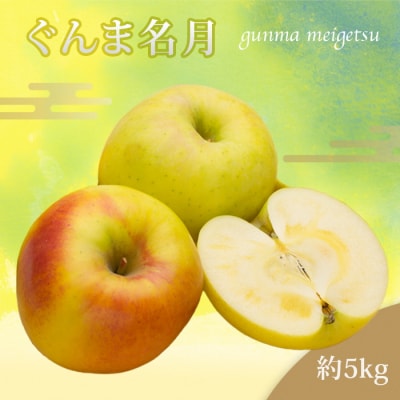 【2026年発送】山形のりんご(ぐんま名月)約5kg_H208(R8)