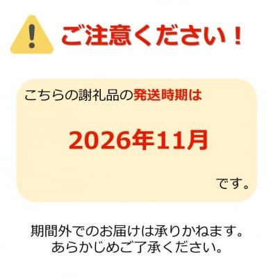 【2026年発送】山形のりんご(ぐんま名月)約5kg_H208(R8)