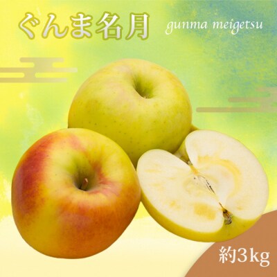 【2026年発送】山形のりんご(ぐんま名月)約3kg_H209(R8)