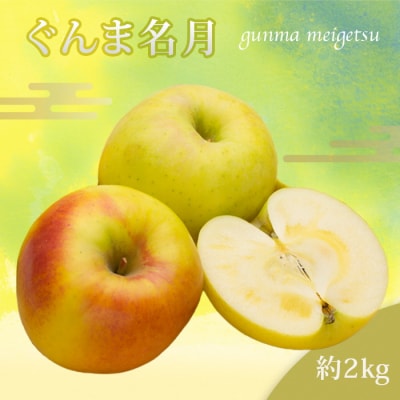 【2026年発送】山形のりんご(ぐんま名月)約2kg_H217(R8)