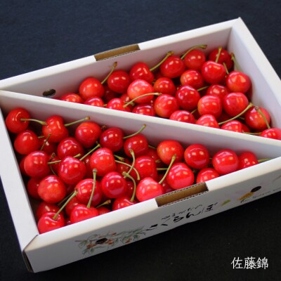 【2025年6月～7月発送分先行受付】【定期便2回】さくらんぼ約1kg×2種_H177(R7)