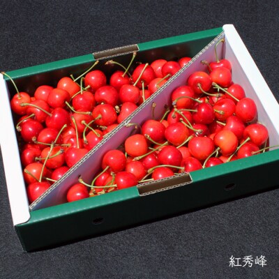 【2025年6月～7月発送分先行受付】【定期便2回】さくらんぼ約1kg×2種_H177(R7)